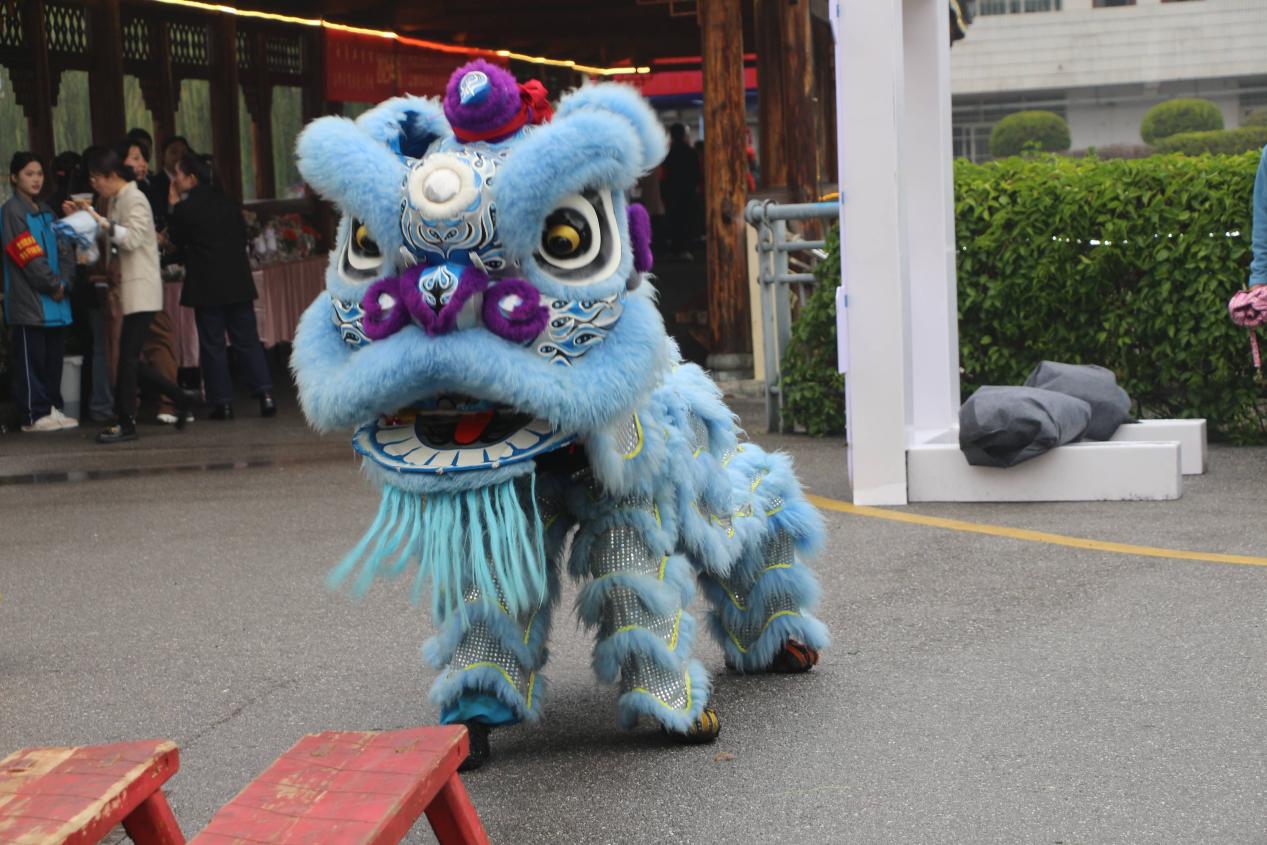 10柳州市职业院校社团展示 (1)