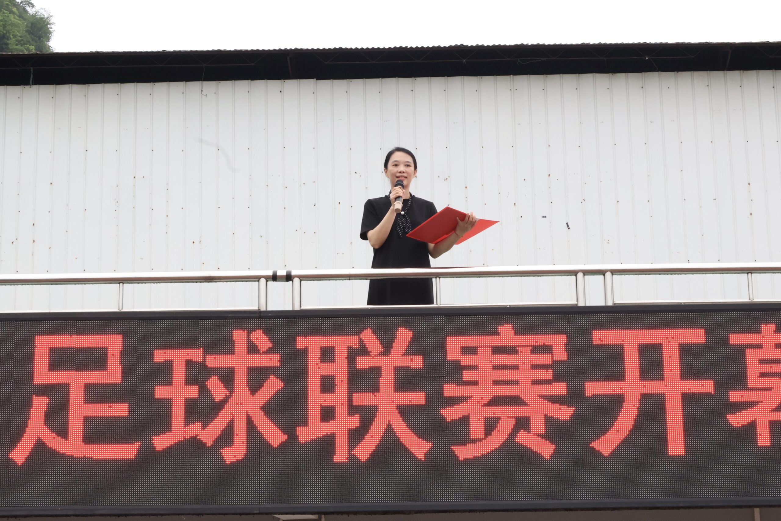 1.公共基础部副主任王璇主持
